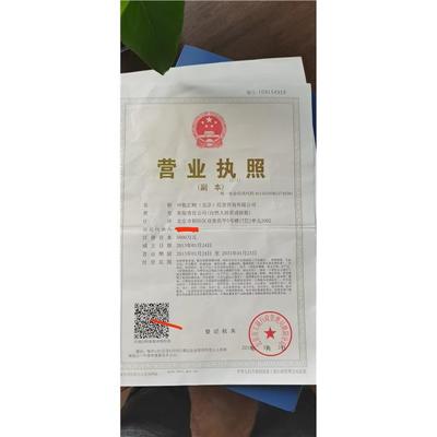北京代辦公司 專業(yè)高效的法律事務代理服務與簡化流程